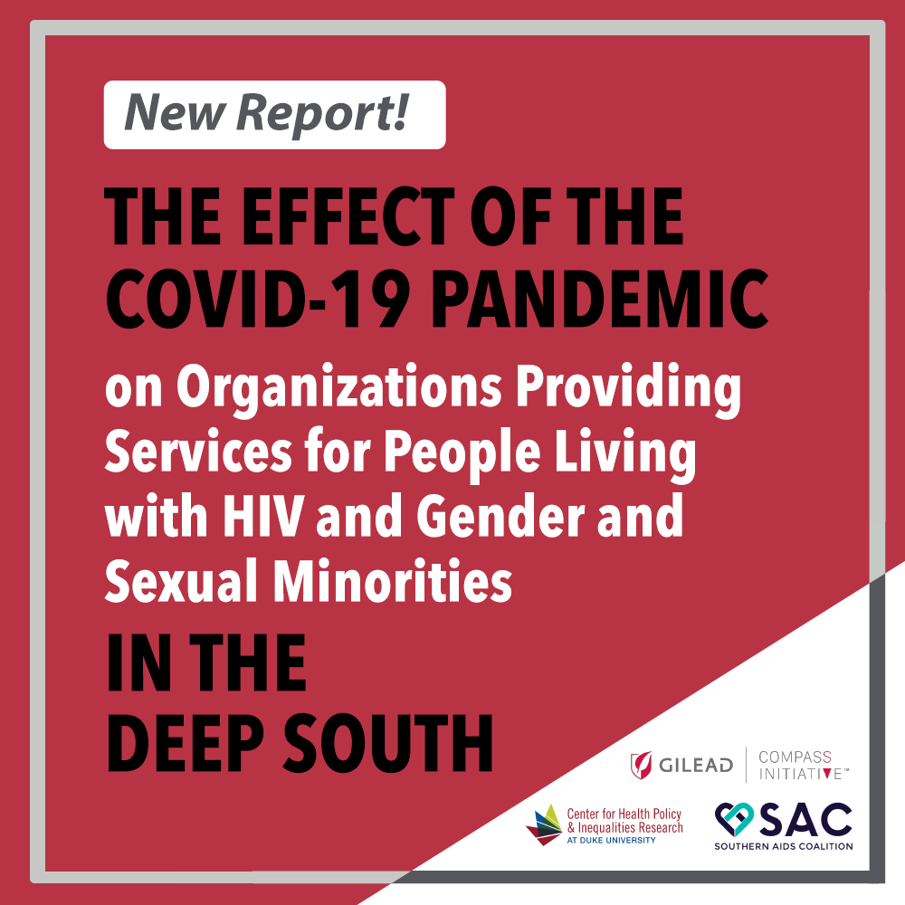 the effect of the pandemic on organizations in the south grpahic
